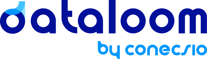 Dataloom by Conecsio